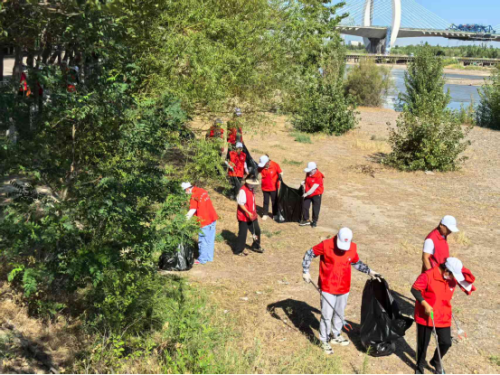 1765137529862039545.png 图片 1.png