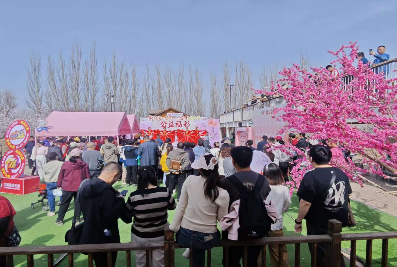 1775683181229057899.png 图片8.png